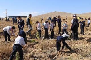 images/Guncel/1444-fidan/irfander-cekud-fidan-4.jpg