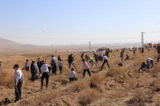 images/Guncel/1444-fidan/irfander-cekud-fidan-5.jpg
